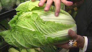 Tip Of The Day Napa Cabbage [upl. by Nadoj]