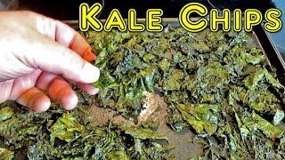 The Best Homemade Kale Chip Recipe Ever [upl. by Suitangi151]