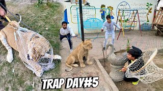 Trap Laga Ky Lion Pakar Lia 😱 Day5 [upl. by Whitver]