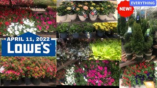 🌸🌺🌻LOWES GARDEN CENTER NEW FLOWERS AND PLANTS  SHOP WITH ME LOWES2022 GARDENCENTER SHOPWITHME [upl. by Marshal736]