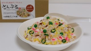 Food Sample Making Kit Fried Rice [upl. by Iadam507]