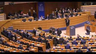 Sitzung des EUParlaments zum European Green Deal der EUKommission [upl. by Ertsevlis285]