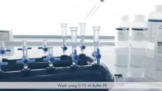 Protocol Plasmid DNA Purification using the QIAprep Spin Miniprep Kit and a Vacuum Manifold [upl. by Adnaloj]