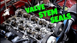 The ULTIMATE Guide To Replacing Valve Stem Seals The Easy Way [upl. by Ijat]