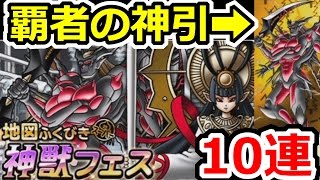 DQMSL 軍神トガミヒメ、魔戦神ゼメルギアスガチャ10連＆モンスター考察！ [upl. by Eednim127]