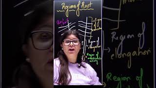 Regions of Root  ncert biology shorts [upl. by Debee733]