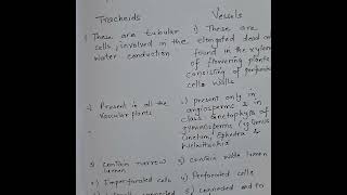 Differences between tracheids and vessels trachearyelements [upl. by Killam257]