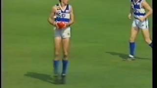 WAFL 1994 Grand Final Claremont v East Fremantle [upl. by Nnylatsyrc]