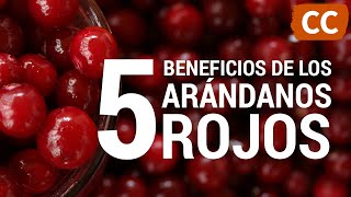 5 Beneficios de los Arándanos Rojos  Ciencia de la Comida [upl. by Ryan336]