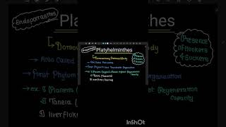 revise phylum platyhelminthes in 56 seconds [upl. by Darci799]