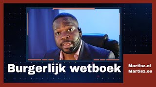 Wetboek Ep 2 Burgerlijk wetboek Hoe zit dat [upl. by Windsor68]