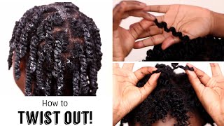 Get the PERFECT twist out EVERY TIME on short natural hair  Type 4A4B4C Hair [upl. by Lourdes]