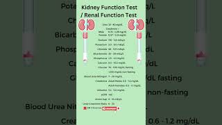 Kidney Function Test  RFT  KFT  kidney test  gfr kidney kft rft gfr [upl. by Ahsimaj]