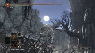 All Ember Locations in Dark Souls 3 [upl. by Godric254]