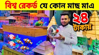 Aquarium Price In Bangladesh🐠Aquarium Fish Price In Bangladesh 2024😱 Aquarium Fish Price In katabon [upl. by Naret]