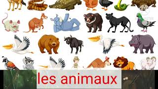 les animaux sauvages et domestiques [upl. by Blodgett]