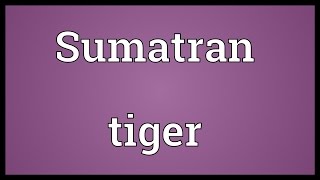 Sumatran tiger Meaning [upl. by Lucila]