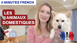 Les animaux domestiques  Pets  5 Minutes Slow French with Subtitles [upl. by Lotz879]