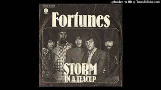 The fortunes  Storm in a teacup 1972 magnums extended mix [upl. by Sholom]