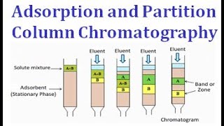 Adsorption and partition column chromatography [upl. by Nirtiac]