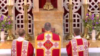 FSSP 25th Anniversary Solemn High Mass 10 18 13 [upl. by Danyelle]