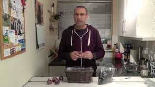 Amateur Gardening video How to plant Hyacinth bulbs [upl. by Yleak]