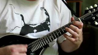 The Gallowglass Jig on mandolin [upl. by Alegnatal]