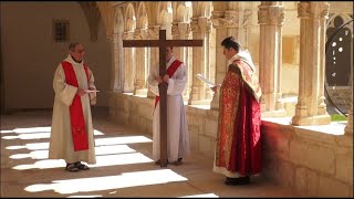 Chemin de Croix  Méditation des 14 stations Que Dieu exauce nos prières [upl. by Enneillij816]