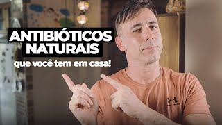 7 MELHORES ANTIBIÓTICOS NATURAIS  Dr Dayan Siebra [upl. by Jaynes]