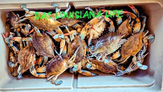 Catching Blue Crabs With Set Nets  We Hit the JACKPOT Catch and Cook [upl. by Bertasi]