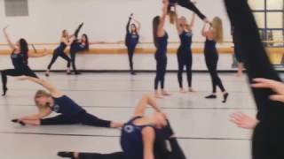 Penn State Lionettes have accepted the mannequin challenge [upl. by Enneite]