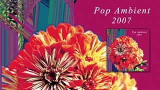 Thomas Fehlmann  Next To The Field Pop Ambient 2007 Album [upl. by Akessej]