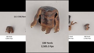 65 CM Remington 140gr CoreLokt PSP Expansion Test [upl. by Parks978]