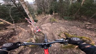 First time in Heidelberg  Downhill Königstuhl Heidelberg 2024 raw pov [upl. by Domenic]