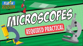 GCSE Biology Revision Guide  Microscopy amp Required Practical [upl. by Ahsikin665]