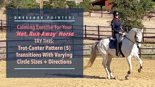 Calming Exercise For A ‘Hot RunAway’ Horse TrotCanter Pattern 5 Transitions On Varying Circles [upl. by Eleon838]