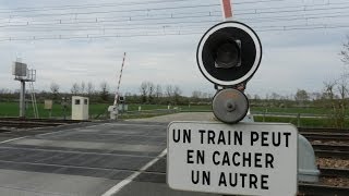 TRAINS FRANCE PLM BOURGOGNE [upl. by Chrisse]