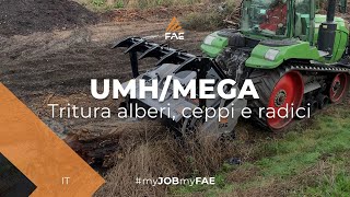 Trincia fresa forestale al lavoro con Trattore cingolato FENDT [upl. by Eisse]