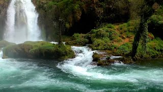 Sonidos de Agua  Relajante Musica de Piano • Musica Para Dormir Música De Meditación [upl. by Ahtan410]