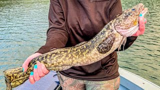 Bead Lake Burbot [upl. by Harimas511]