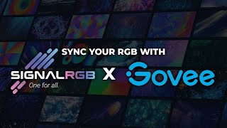 How to sync Govee with SignalRGB [upl. by Petronilla]