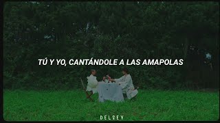 Leo Rizzi  Amapolas Letra  Video Oficial [upl. by Enaujed]