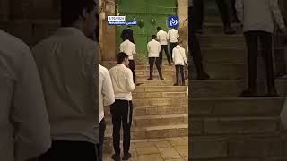 Settlers perform Talmudic prayers at the Cotton Merchants Gate [upl. by Niwri]