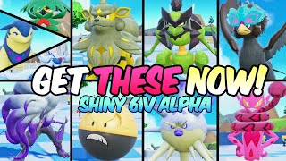 Get ALL Shiny Alpha Hisuian Pokemon NOW in Scarlet Violet [upl. by Quackenbush941]