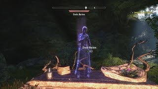 ESO New Quest Through A Veil Darkly How to perform the ritual New Memento [upl. by Anitnerolf588]