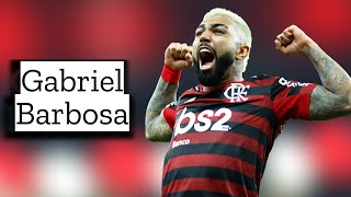 Gabriel Barbosa  Skills and Goals  Highlights [upl. by Constantia695]