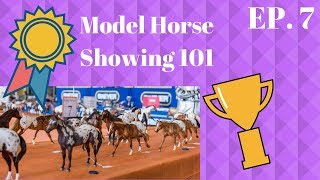 Breyer Horse Showing 101  An Introduction for Beginners [upl. by Ahsercul]