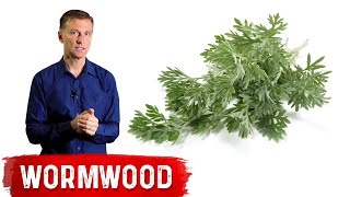 The Benefits of Wormwood [upl. by Jamnes]