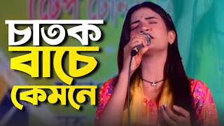 চাতক বাঁচে কেমনে। তানিয়া পাগলী। Chatok Bache Kemone। Taniya Pagli। Sajim Music HD [upl. by Baldridge]