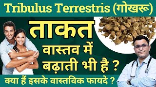 Gokhru ke fayde Tribulus Terrestris benefits Gokhru benefits Tribulus Q Homeopathic Medicine [upl. by Eboh]